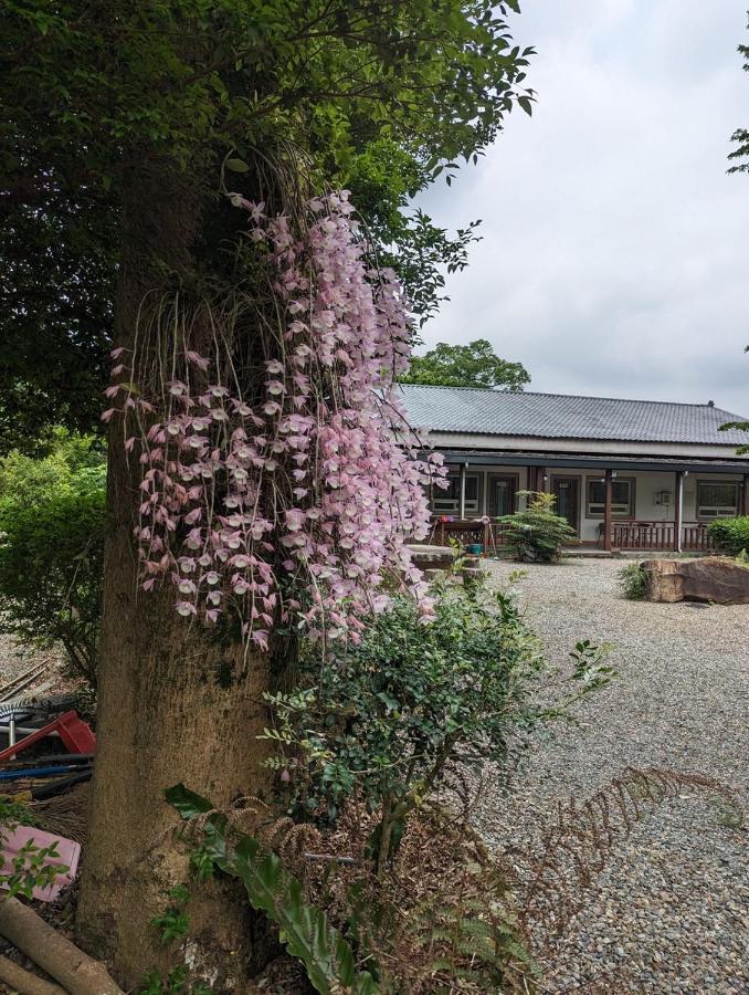 Flying Villa Nantou Exterior photo