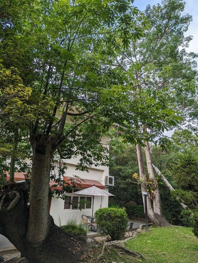 Flying Villa Nantou Exterior photo
